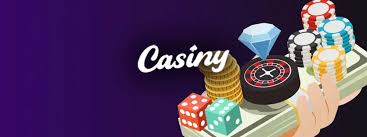 Everything You Need to Know About Casiny Login 28