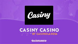 Everything You Need to Know About Casiny Login 28