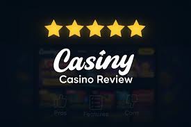 Everything You Need to Know About Casiny Login 28